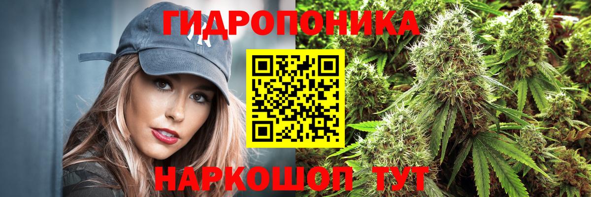 Бошки марихуана AK-47 Ноябрьск